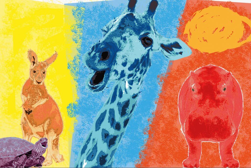 Grafiken und Bildwerke, mit Adobe Software erstelltes Motiv 4 Freunde. Känguru, Giraffe, Nilpferd und Schildkröte freuen sich ihrer Freundschaft.