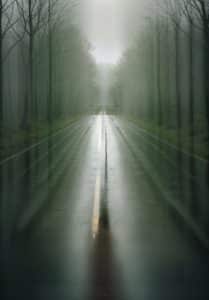 Nasse Straße im Nebel, von kahlen Bäumen gesäumt, geheimnisvolle Naturstimmung – Armin Mumper.