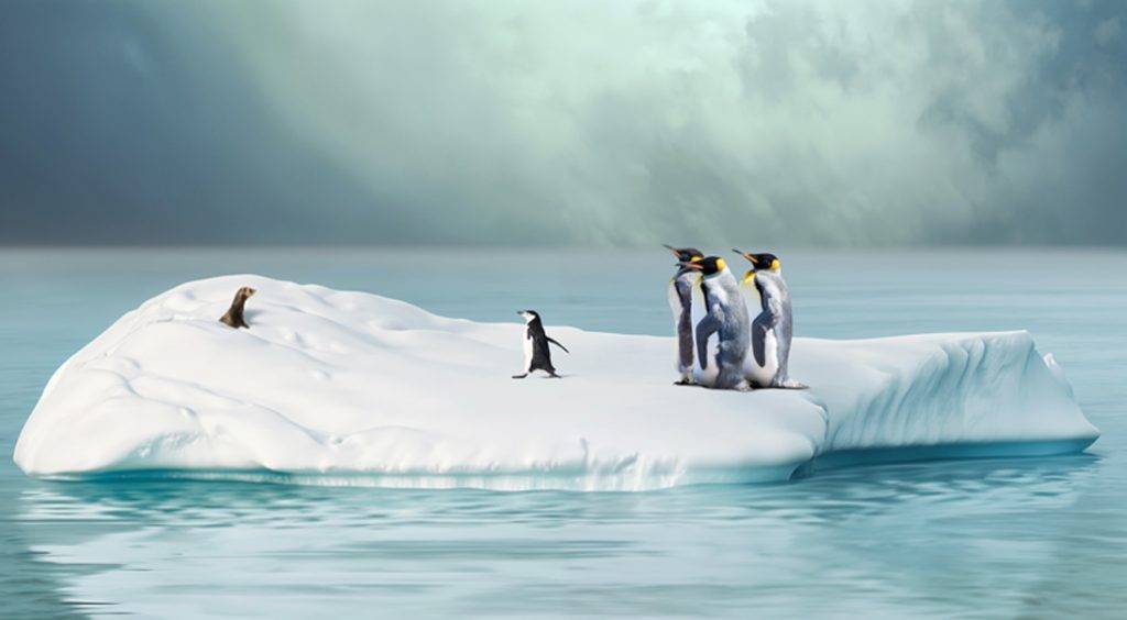 Humorvolle Fotokunst: Pinguine auf Eisscholle staunen über einen Präriehund, der plötzlich auftaucht – Armin Mumper.
