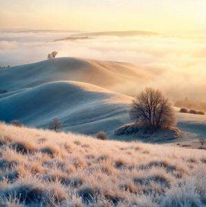Winterliche Hügellandschaft mit Raureif im Morgenlicht, sanfte Naturstimmung – Armin Mumper.